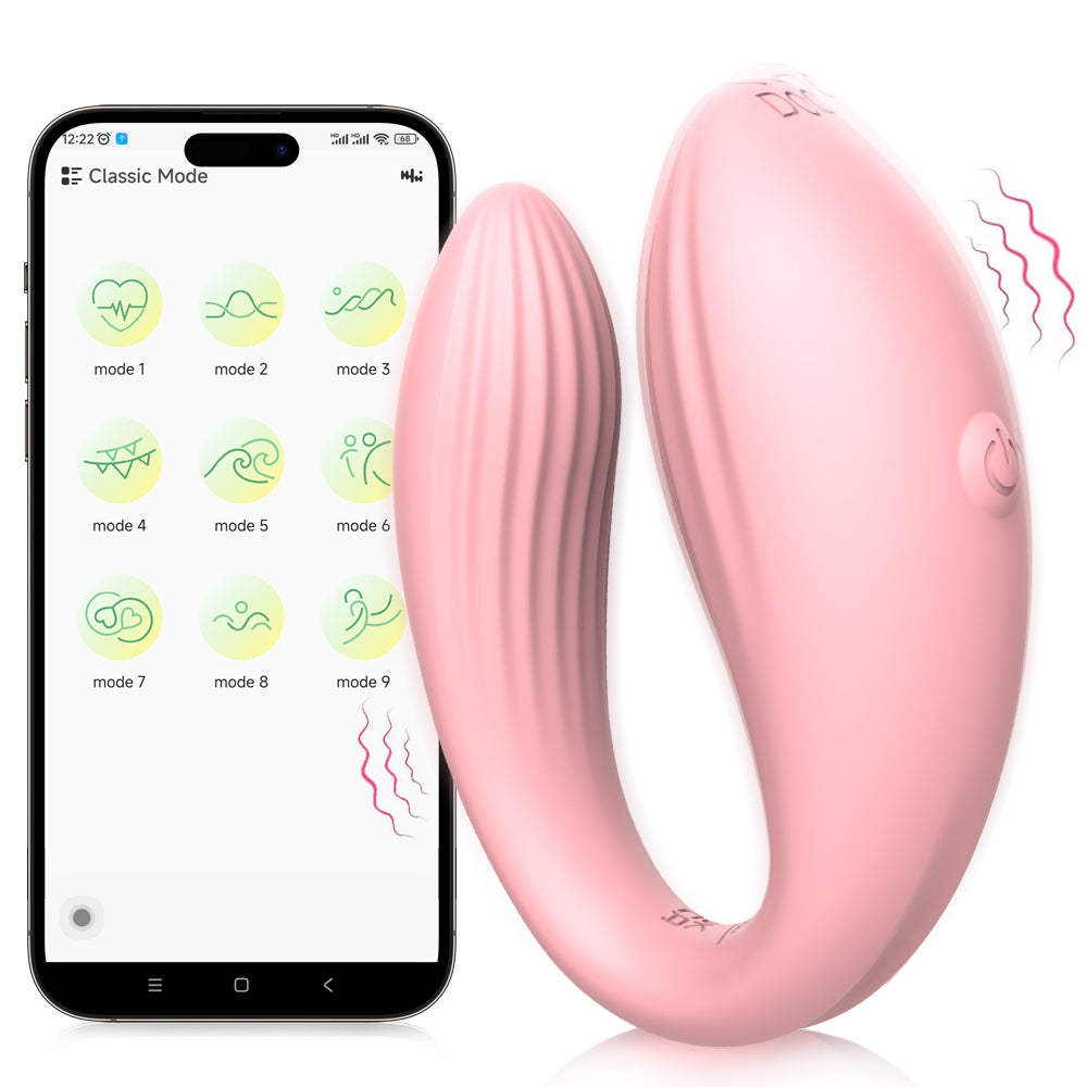 Remote Control Panty Vibrator