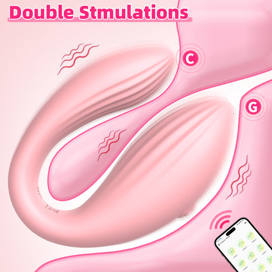 Remote Control Panty Vibrator