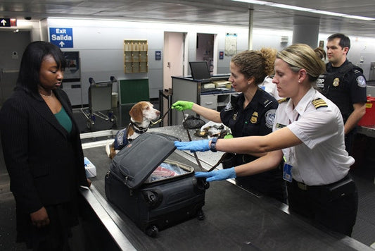 sex toys airport security check