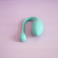 Wireless Remote Vibrating Egg