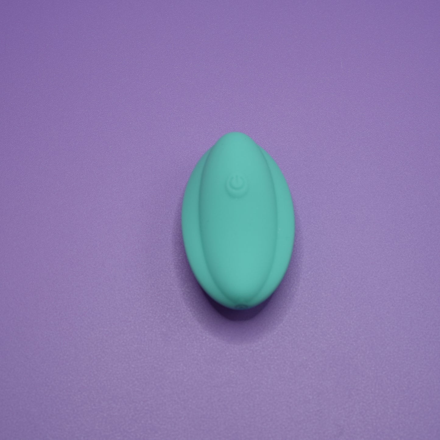 Remote Control Couples Play Vibrator